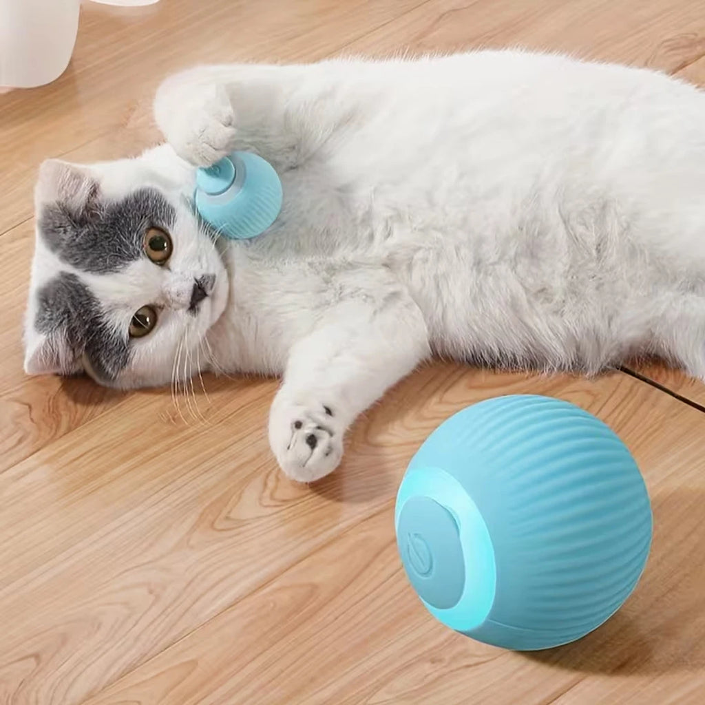Automatic Rolling Ball Cat Toy USB Rechargeable Interactive Motion Activated Glow in the Dark Silicone Pet Ball Toy Safe for All